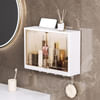 Buy Storage Cabinet - Assorted - Single Piece