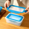 Shop Stretchable Silicone Lid Food Storage Box - Assorted - Set Of 6