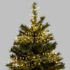 Buy String Lights - Cluster - Warm White - 1M
