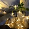 String Lights - Dragon Fly - 3 Meter Online