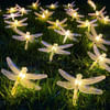 Gift String Lights - Dragon Fly - 3 Meter