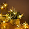 String Lights - Dragon Fly - 3 Meter Online