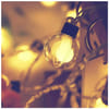 Shop String Lights - Globe - 20 Bulbs - 2.5 Mtr