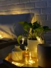 Gift String Lights - Palm Tree