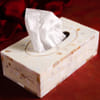 Tissue Box - Floral - Single Piece Online