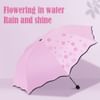 Shop Umbrella - Magic Print - Assorted - Single Piece