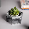 Unique Hexo Planter - Single Piece Online