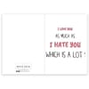 Gift Valentines Day Greeting Card - Love You As Much As Hate You