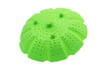Gift Vegetable Steamer - Silicone - Green - Single Piece