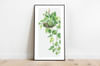 Gift Wall Art - Golden Pothos