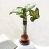 Wooden Planter - Spherical Online