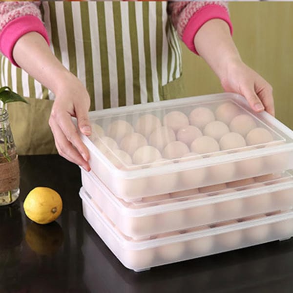 Egg Holder Box - 24 Grids - Assorted - Single Piece
