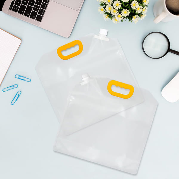 Foldable Storage Bag - Assorted - Set Of 4