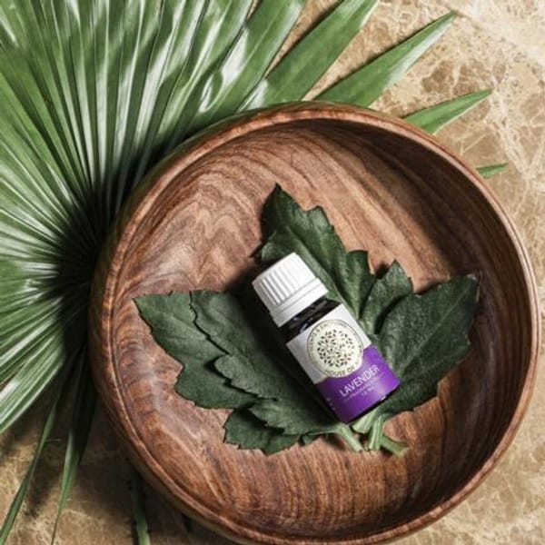 Fragrance Oil - Scents And Emotions - 10ml