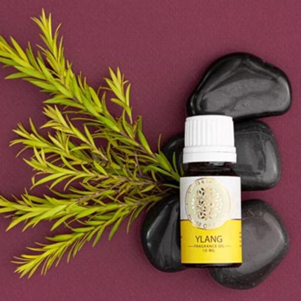 Fragrance Oil - Scents And Emotions - 10ml