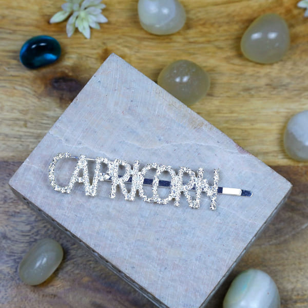 Hair Pin - Silver Glitter - Zodiac Signs