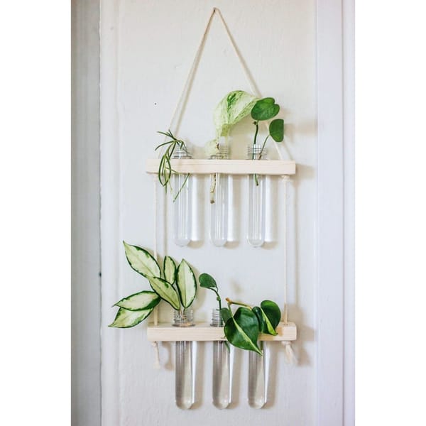 Hanging Planter - Glass Tubes - Wooden - Single Piece