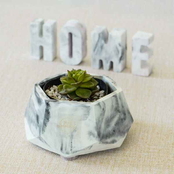 Hexagonal Concrete Planter