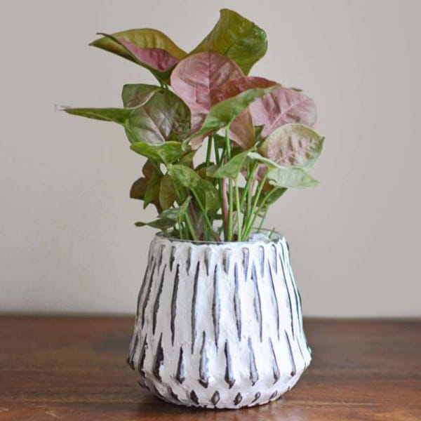 Honeycomb Glass Planter