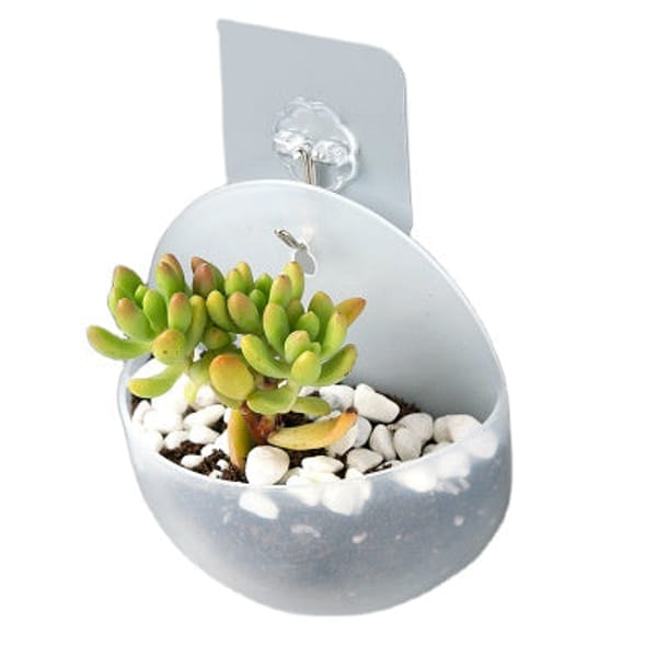 Planter - Wall Mounted - Single Piece