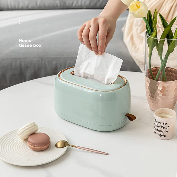 Tissue Box - Golden Tinge - Single Piece