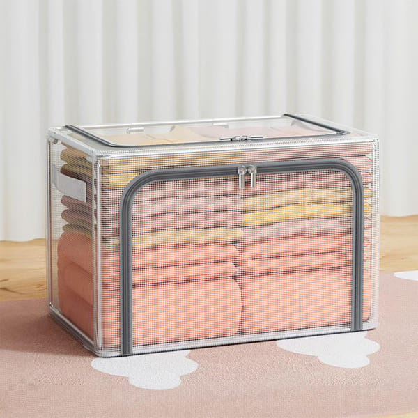 Transparent Storage Organizer - Assorted - Single Piece